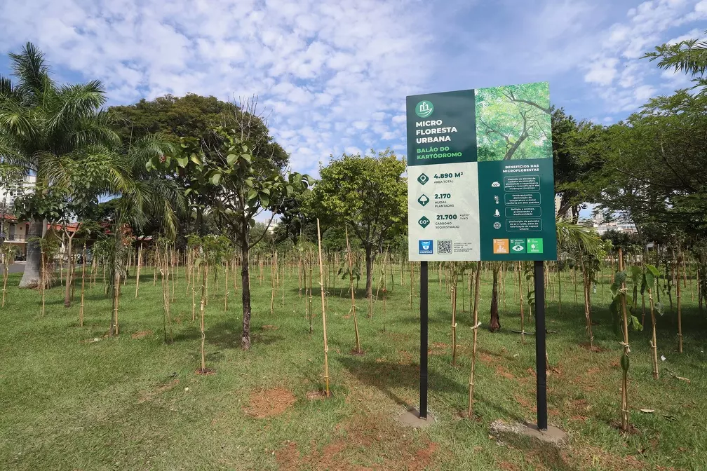 Microflorestas urbanas: Programa soma 22,5 mil árvores plantadas